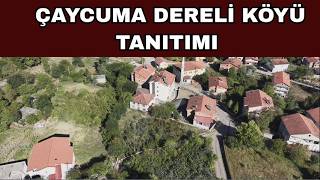 Çaycuma Dereli Köyü