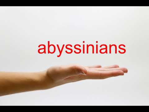 How to Pronounce abyssinians - American English