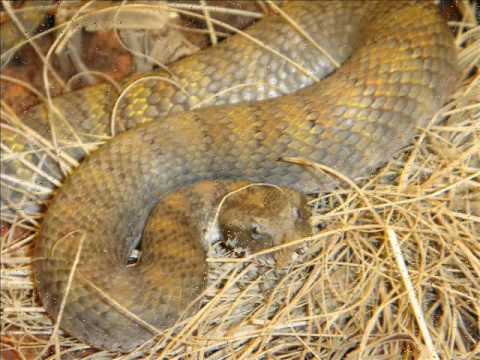 YouTube Video KqBBkFz5Ae8