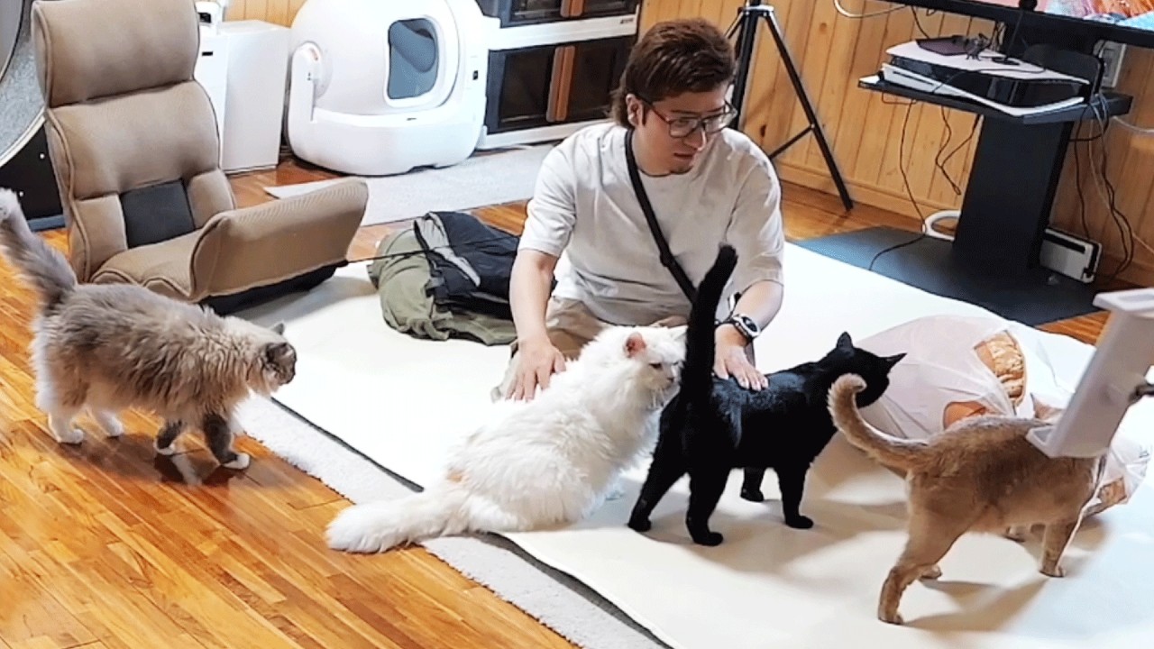 24時間生放送の一部始終をご覧ください