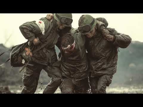 CAPÍTULO 11 MALVINAS