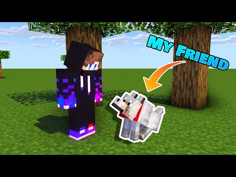 Unbelievable: My Friend is a Dog in Minecraft