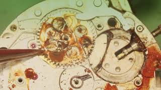 Video Runabout - Shallow Water Blackout