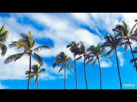 MANU KAI NIU - 'IONGI BROTHERS