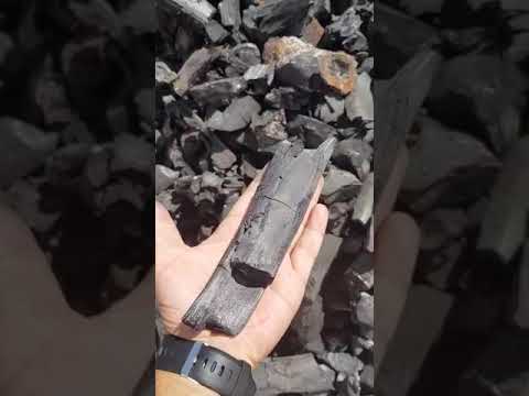 Eucalyptus charcoal
