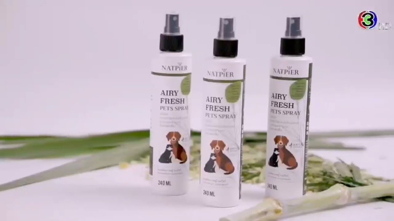 แปลภาษา - VDO Translation แปลภาษาจากคลิปวิดีโอ - 2