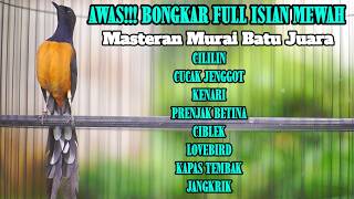 Download lagu MASTERAN MURAI BATU PAGI SIANG MALAM FULL ISIAN KENARI CILILIN LOVEBIRD KAPAS TEMBAK CUCAK JENGGOT mp3