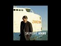 Adamo - 20 Ans