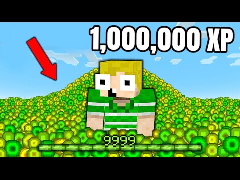 Jeg Får 1,000,000 LEVELS I Minecraft!!