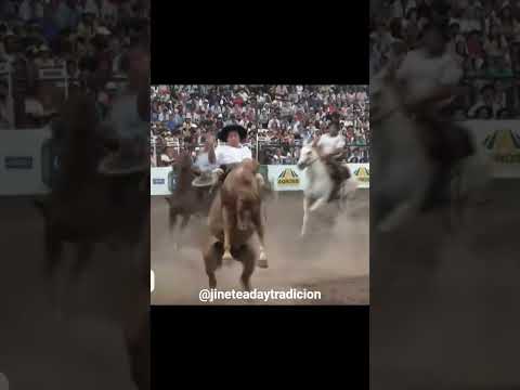 Ceferino Montesino en "El Cumpa" de Piccione #jesusmaria #argentina #jineteadas #horse #caballos