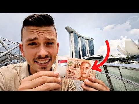 , title : 'What $100 get in Singapore? Most expensive City in the World! (Mistake to come?)'