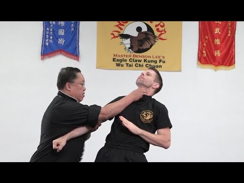 Eagle Claw Kung Fu - When Two Claws Are Better Than One!
