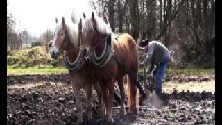 ploeginstructie Osterwald 1