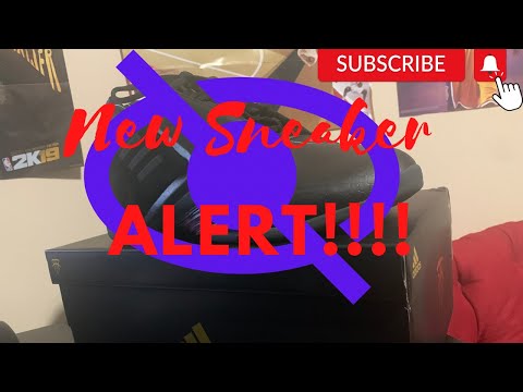 Adidas T Mac 3 Restomod Review (Raptors Colorway)
