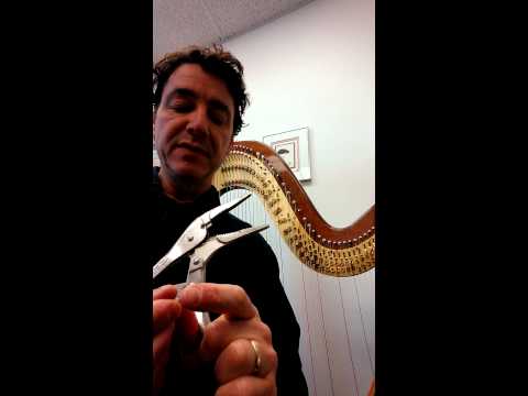 Salvi string nut buzz repair