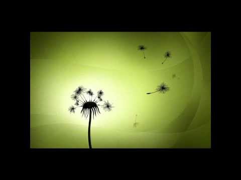 CHIP HAWKES - ON THE WIND