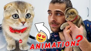BU KEDİYE AŞIK OLACAKSINIZ! 😍 ( İnanılmaz Sevimli Yavru Kedi ) #TheVet