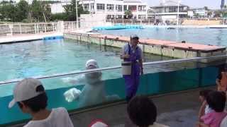 八景島 シー パラダイス 動画