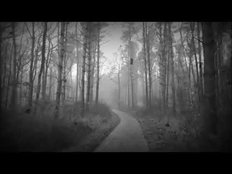 "8 Greek Dances for Orchestra" - Nikos Skalkottas (1904 -1949)