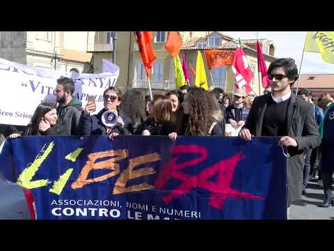Vibo libera manifestazione regionale corteo