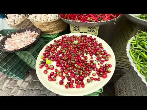 Nature Walk in Nowshahr, Iran - Sea, Forest & River | Northern Iran Beauty