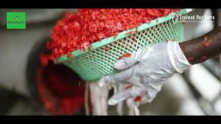 Circular economy in Senegal through Recuplast - by Invest for jobs