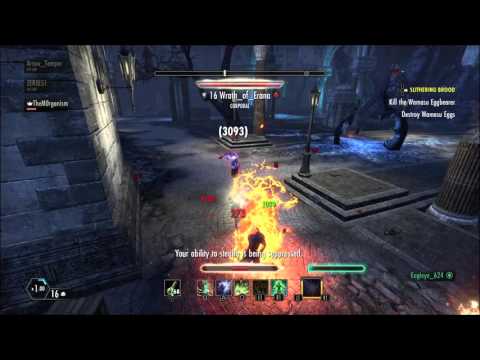 Immolator Charr: Best Duo partner in ESO