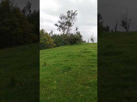 Lote Rural 4.000 m² en San Rafael, Cómbita | Gran Oportunidad