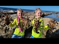9 Days Fishing Foraging In Hawaii Lobster Diving Spearfishing Catch Cook