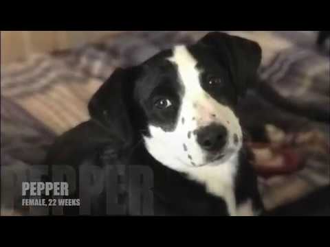 06.02.2018 Texas Transport