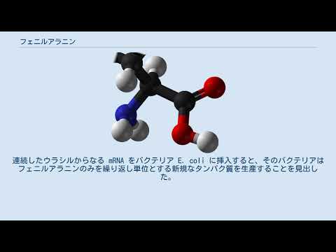 トポロジカル式