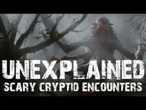 28 UNEXPLAINED SCARY CRYPTID ENCOUNTER HORROR STORIES