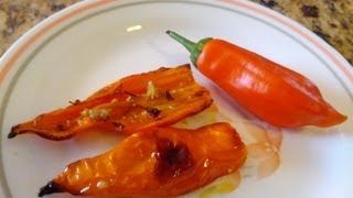 Aji Amarillo Pepper from Refining Fire Chiles
