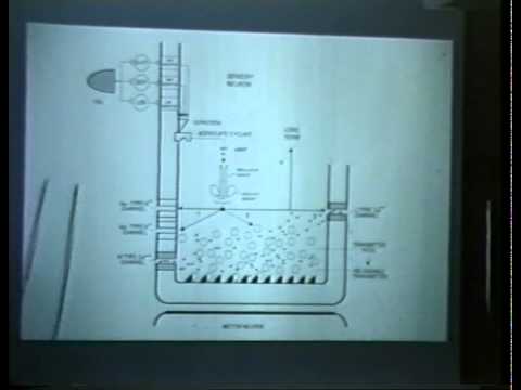 Classic: Eric Kandel: Genes, Synapses and memory 1993