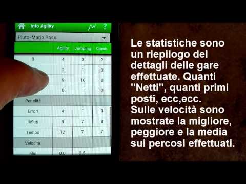 Info Agility