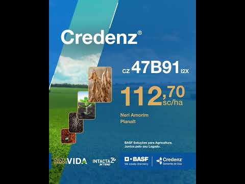 CZ 47B91 I2X Credenz®: destaque de produtividade em Goiás e no Distrito Federal
