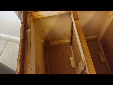 Cockroaches Infesting Kitchen Cart in Belle Mead, NJ