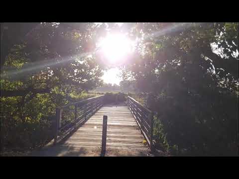 Wandern mit Zander:  Von Düsseldorf nach Monheim Wandern am Rhein