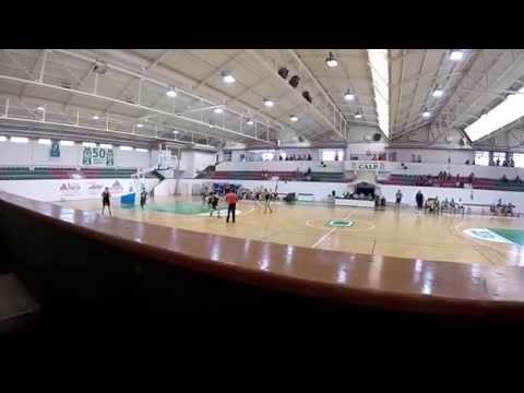 C.B Ifach Calpe Senior Femenino 2015