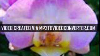 rookie just out of reach