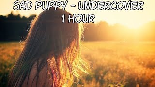 Sad Puppy - Undercover - [1 Hour] [No Copyright]