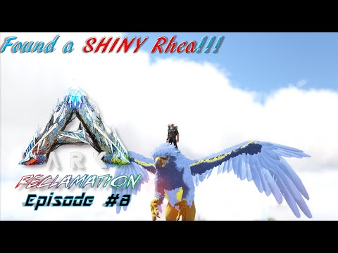 The Budgie Rhea & NEW ITEMS!!! ARK: Reclamation's "From Beach Bob to Max Ascension" (The Island: E8)