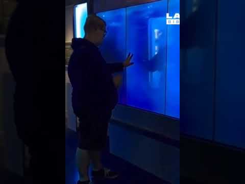 ATTACKED at the AQUARIUM 🦈 #aquarium #escape #shark