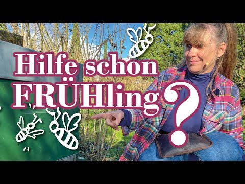 HELP - IS IT SPRING ALREADY???