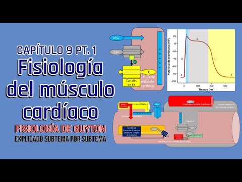 CAP 9 (1/3) Fisiología del músculo cardíaco l Fisiología de Guyton
