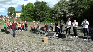 Junior Natural, The Choir: Afro  and Liondub - The People