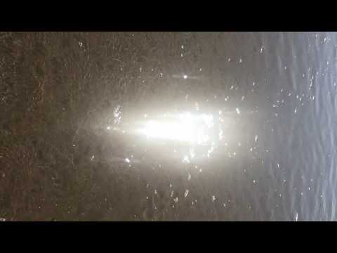 Video thumbnail for Black Snakes