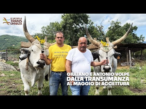 Le vie della transumanza and 2 more