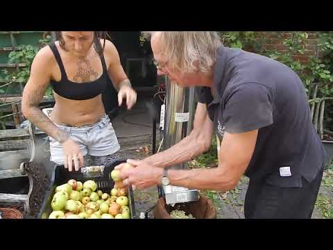 Herstellung Apfelsaft  Fallobst August 22