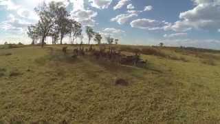 Wacol - Chasing &#39;roos 2 - brushless gimbal FPV / INXS - Three Sisters